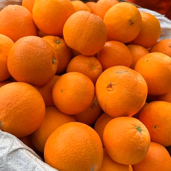 작은 가방, 인기 있는 말린 만다린 오렌지, 고품질