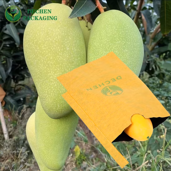 주문을 받아서 만들어진 포도 물 저항하는 서류상 과일 보호 부대 손잡이